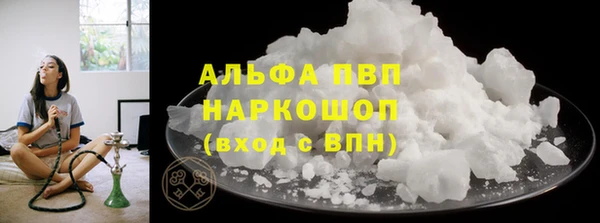 гашик Ладушкин