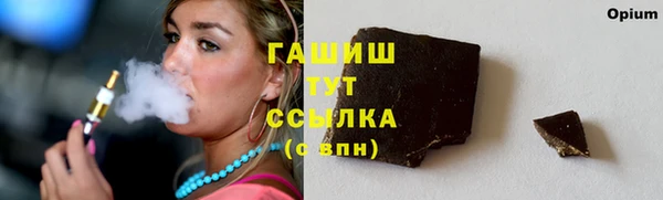 гашик Ладушкин