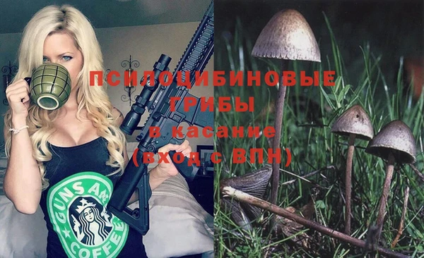гашик Ладушкин