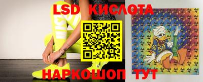 дживик Донской