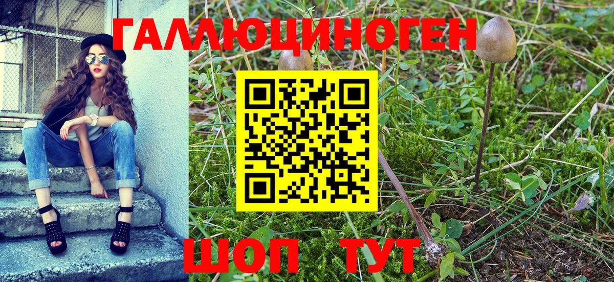 Галлюциногенные грибы GOLDEN TEACHER Усть-Джегута