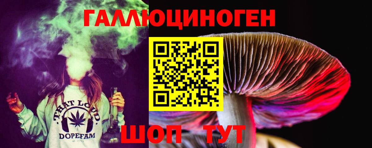 Галлюциногенные грибы мицелий  Псилоцибиновые грибы мицелий  Вход с VPN  Усть-Джегута 